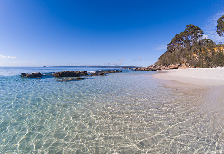 Best Cafe in Mosman with Attractions to visit near them Best Cafe in Mosman Best Cafe in Mosman