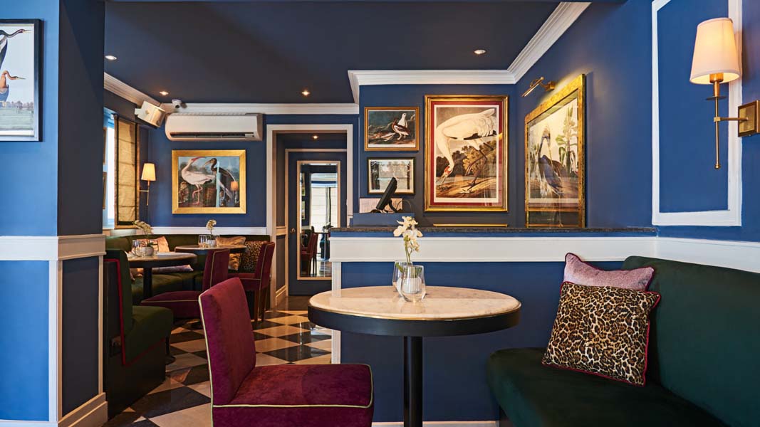 15 best cafes in South Delhi for couples 15 best cafes in south Delhi for couples Andreas Bar & Brasserie