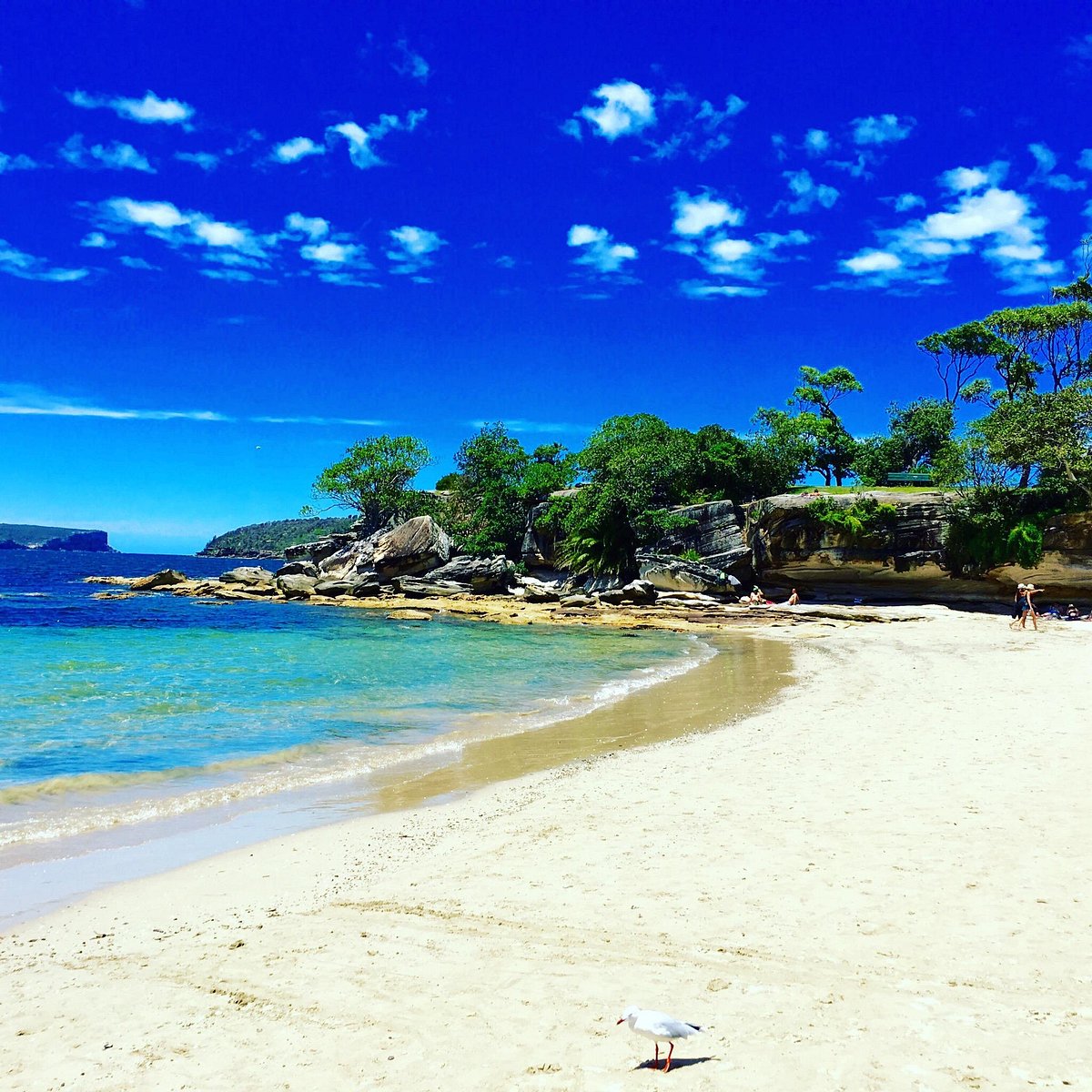 Best Cafe in Mosman with Attractions to visit near them Best Cafe in Mosman Best Cafe in Mosman